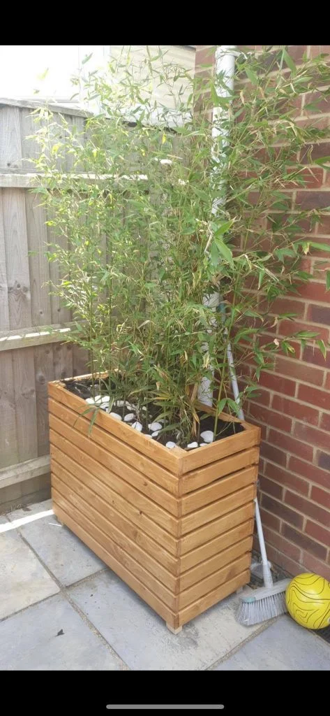 Tall plant box